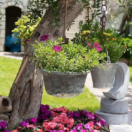 Ceccherini Debora Alice Ferienhaus
